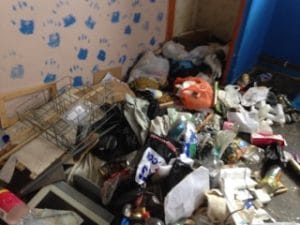 property clearance in Newton Abbot